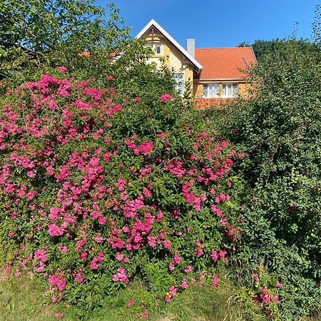 Neulandhof Spoering Apartment Walsrode Bagian luar foto